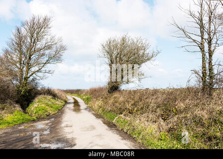 Une route tranquille, à Cornwall. Banque D'Images