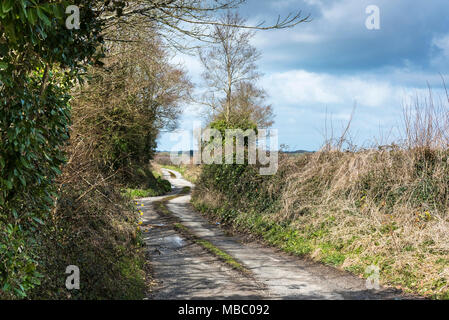 Une route tranquille à Newquay Cornwall. Banque D'Images