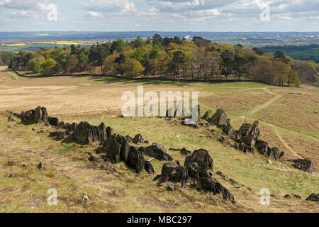 Les affleurements de la réputation la plus ancienne (Précambrien) rocks en Grande-Bretagne, Bradgate Park, Leicestershire, England, UK Banque D'Images