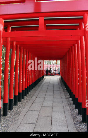 La ligne de portes Shinto, et les jeunes filles qui, à la fin de selfies le tunnel. Prise à Inuyama culte, Japon - Février 2018 Banque D'Images