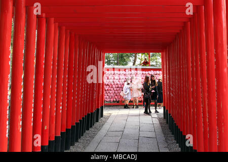 La ligne de portes Shinto, et les jeunes filles qui, à la fin de selfies le tunnel. Prise à Inuyama culte, Japon - Février 2018 Banque D'Images