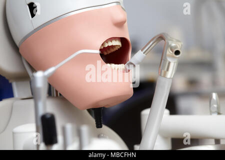 Mannequin ou dummy pour dentiste étudiants la formation dans les facultés dentaires d'écoles de médecine et les universités Banque D'Images