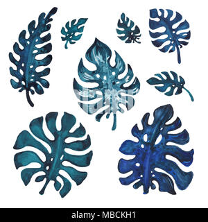 Feuilles de palmiers tropicaux, aquarelle illustration Banque D'Images