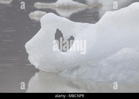 Banc de glace commence à fondre près de la côte en Islande Banque D'Images