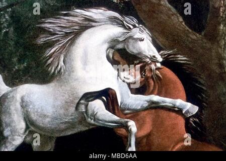 La lutte contre les chevaux - gravure par G. T. Stubbs, après la peinture de George Stubbs. Détail - © / Charles Walker Banque D'Images