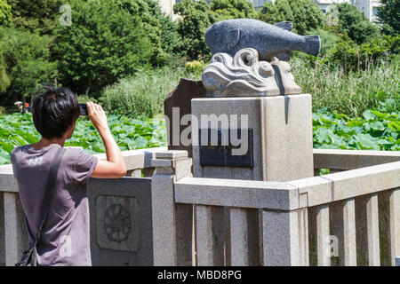 Tokyo Japon,Asie,Orient,Ueno,Parc Ueno,Ueno koen,Shinobazu Pond,nénuphars,poisson,carpe,koi,mémorial,statue,kanji,japonais,caractères,symboles,ASI asiatique Banque D'Images