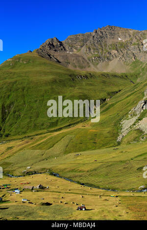 Paysage entre le col de l'Iseran le col de montagne et Bonneval-sur-Arc (Savoie, Alpes) : fauchage dans la vallée Banque D'Images