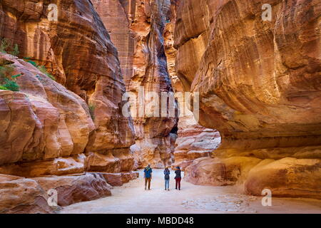 Siq - long canyon de Petra en Jordanie Banque D'Images
