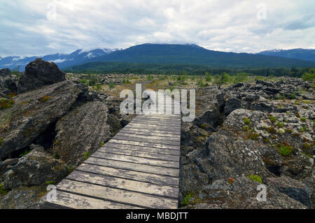 Allée en bois de lit, British Columbia, Canada Banque D'Images