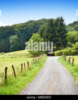 Route de campagne ou chemin idyllique à travers champs et forêt. Campagne avec soleil et ciel bleu. Banque D'Images