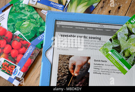 Potager graines dans des paquets sur un banc de rempotage, Norfolk, Angleterre Banque D'Images