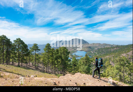 Male hiker marche sur Gran Canaria dans la forêt de pins de montagne donnant sur Presa de Las chez Ninas réservoir. Canaries, Espagne Banque D'Images