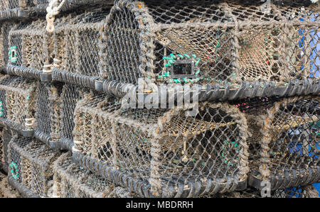 Pile de casiers à crabe sur le mur du port à Ilfracombe, Devon, Angleterre Banque D'Images