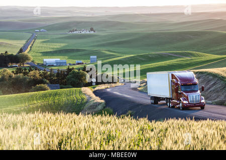 Bien que la conduite de camions commerciaux de champs de blé l'Est de Washington, USA au coucher du soleil. Banque D'Images