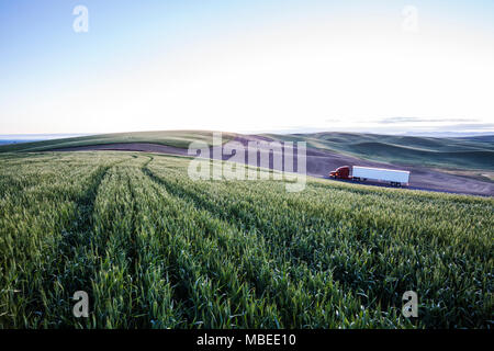 Bien que la conduite de camions commerciaux de champs de blé l'Est de Washington, USA au coucher du soleil. Banque D'Images