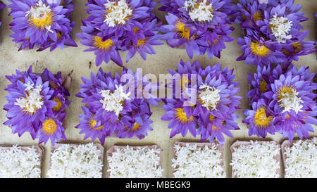 Des fleurs sur la vente à l'extérieur du Temple de la Dent Sacrée, Kandy. Banque D'Images