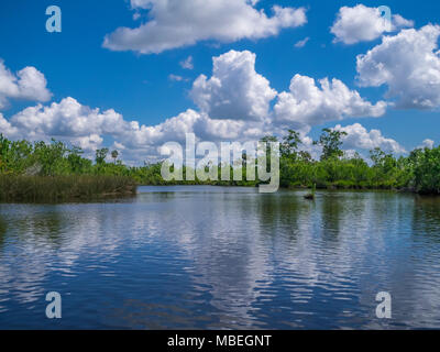 Journée d'été avec ciel bleu et nuages blancs sur la rivière de la paix dans le sud-ouest de la Floride Banque D'Images