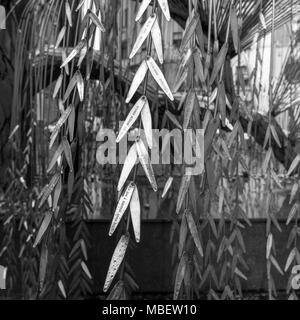 Sculpture de weeping willow tree Raoul Wallenberg dans Holocaust Memorial Park à Grande Synagogue, rue Dohany, Budapest, Hongrie Banque D'Images