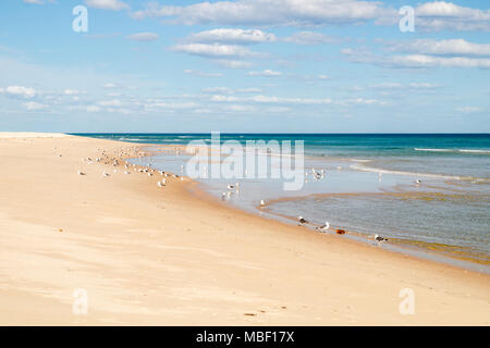 Le Sunny View de la plage du lagon de Fuseta, parc naturel de Ria Formosa, Portugal Banque D'Images