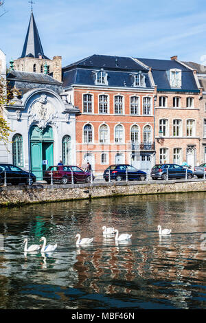 Un groupe de cygnes glissent le long du Langerei à Bruges (Brugge), Belgique. Banque D'Images