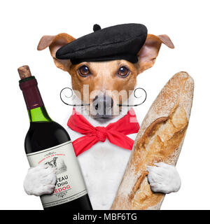 L'anglais Jack Russell chien avec du vin rouge de la baguette et béret, isolé sur fond blanc Banque D'Images