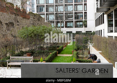 Le jardin et le jardinier saleurs signe la plantation de rosier est près de St Alphage gardens par London Wall dans la ville de London UK KATHY DEWITT Banque D'Images