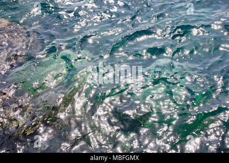 Formes et textures de l'eau - de vagues, vent doux ondulations de la surface de la mer Cretean. La réflexion dans le soleil l'eau tourquise Banque D'Images