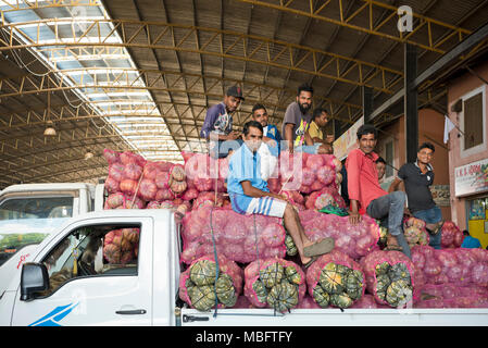Vue horizontale de travailleurs assis dessus de citrouilles en attente de livraison à Dambulla à base de fruits et légumes du marché de gros au Sri Lanka. Banque D'Images
