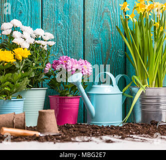 Droit de parterres de fleurs en pots près de clôture en bois Banque D'Images