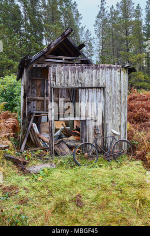 Un vieux hangar, s'effondrant dans une forêt avec un vieux vélo appuyé contre elle Banque D'Images