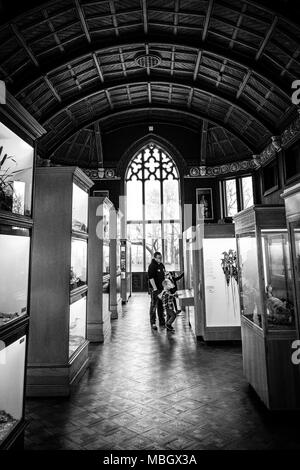 Un père et son fils à l'intérieur des expositions au Château-Musée de Cliffe, Keighley, Bradford, Yorkshire, Royaume-Uni. Banque D'Images