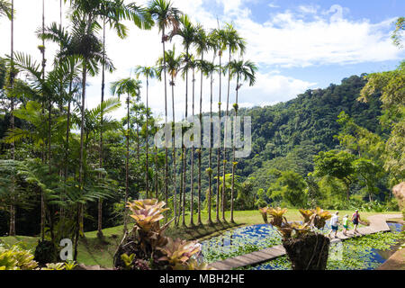 Le jardin de balata, Martinique, French West Indies. Banque D'Images