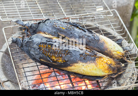 Épis de maïs grillés sur la plaque à l'aide d'une grille de charbon brûlé red hot avec peel Banque D'Images