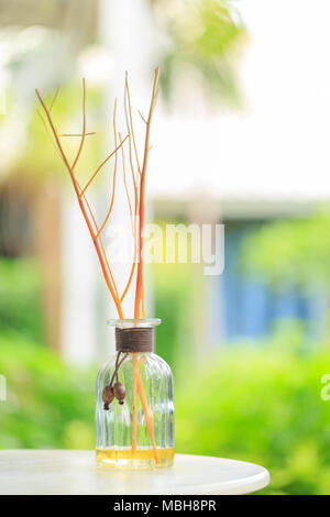 Bouteille d'huile essentielle (Aromatnerapy) sur un arrière-plan flou de la nature Banque D'Images