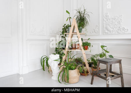 Intérieur lumineux luxueux dans le style baroque. Une chambre spacieuse avec support en bois à monter pour les fleurs. Sur les murs en stuc de l'usine Banque D'Images