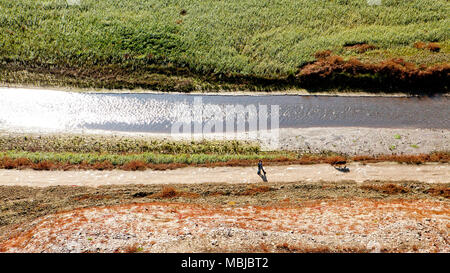 Le lac de Guerlédan est d'être vidangée entre avril et novembre 2015, Côtes-d'Armor, Bretagne, France. Banque D'Images