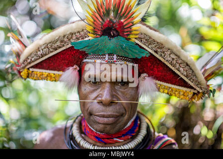 Portrait d'un professeur pour adultes Huli initie, Tari Valley, Papouasie Nouvelle Guinée Banque D'Images