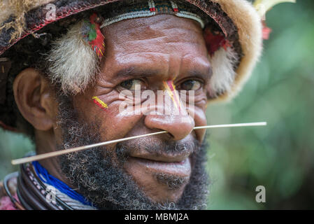 Portrait en gros plan d'un adulte Huli wigman effectuant pendant un sing-sing, Tari Valley, Papouasie Nouvelle Guinée Banque D'Images