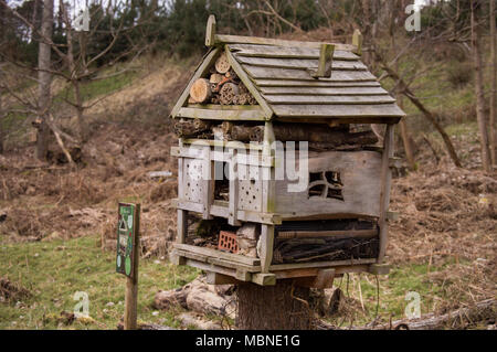 Hôtel insectes conçu pour aider les insectes sauvages se reproduisent et se multiplient pour accroître les populations des zones boisées Banque D'Images