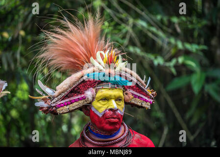 Portrait d'un adulte au cours d'une scène Huli wigman sing-sing, Tari Valley, Papouasie Nouvelle Guinée Banque D'Images