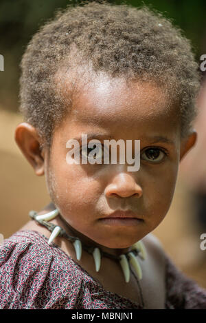 Portrait d'un jeune garçon Huli participant à un sing-sing show, Tari Valley, Papouasie Nouvelle Guinée Banque D'Images