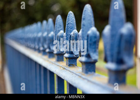 Bleu de recul en fer forgé avec une fleur de lis haut. Banque D'Images