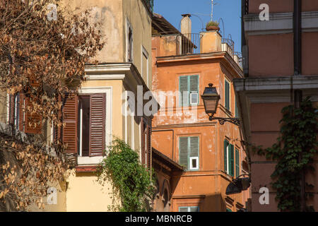 Une scène de rue Italien de plantes grimpantes sur les bâtiments dans la zone Trastevere de Rome, Italie. Banque D'Images