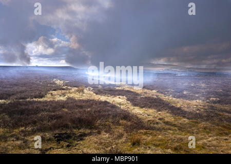 Huppée des landes et bruyères Février brûlant de cendres et de débris dans le nuage de fumée. À partir de la Low Moor à vers Greenhow, Nidderdale Hill Banque D'Images