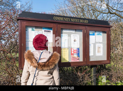 Femme lisant un tableau d'affichage communautaire à Ferring, West Sussex, Angleterre, Royaume-Uni. Dame à la Communauté à un affichage dans une ville britannique. Banque D'Images