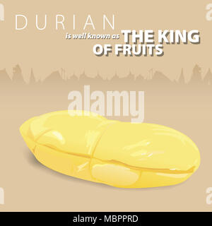 Durian est un doux et parfumé, et est bien connu comme le roi des fruits. Vector illustration présent Durian avant de siluated architech Thaïlande graphiques Banque D'Images