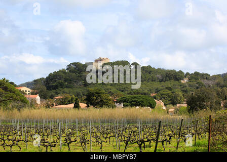 Le livre vert de l'arrière-pays rural et l'île de Porquerolles avec ses prés, sa végétation et ses vignes Banque D'Images