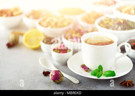 Plateau concept avec copie espace. Différents types de thé sec en blanc bols de céramique et tasse de thé aromatique sur fond gris. Banque D'Images