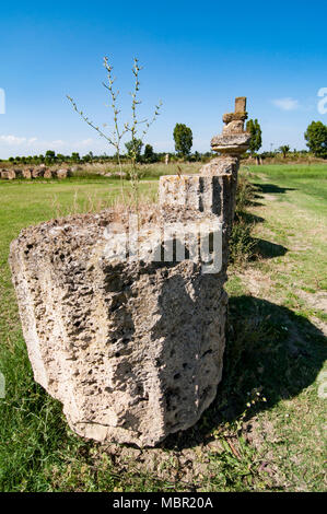 MKetaponto site archéologique en Basilicate Italie Banque D'Images