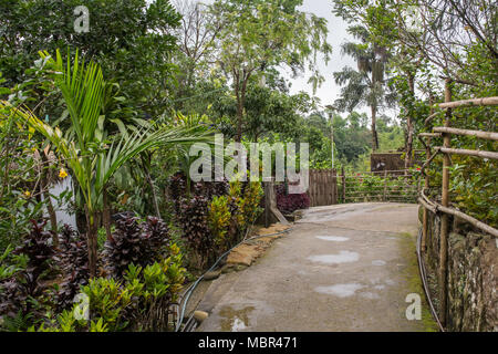 Dans Mawlynnong voie propre village, Meghalaya, dans le Nord Est de l'Inde. Il a été déclaré comme le village le plus propre en Inde. Banque D'Images